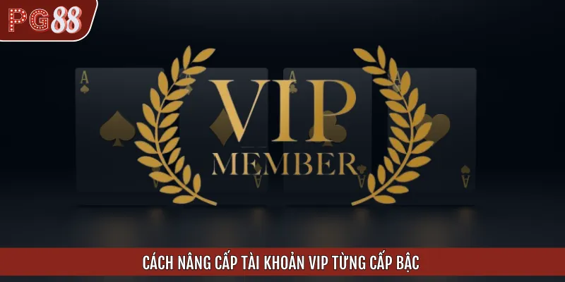 Cách nâng cấp tài khoản VIP theo từng cấp độ