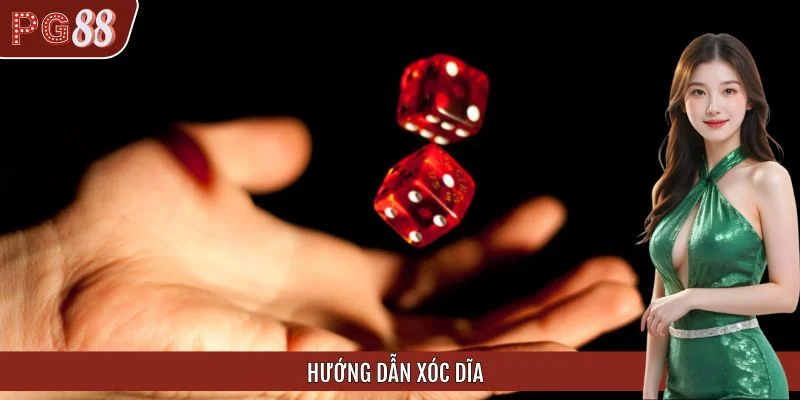 Hướng Dẫn Xóc Đĩa Thắng Lớn Cho Tân Thủ Mới Tại PG88