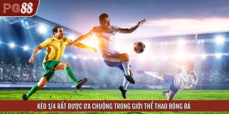 Kèo 1/4 rất được ưa chuộng trong giới thể thao bóng đá