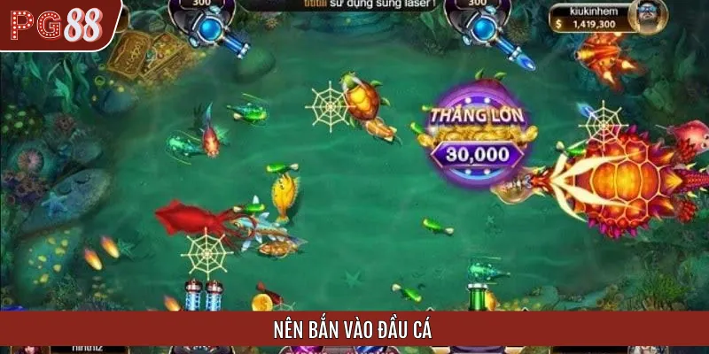 Phần đầu của cá chính là điểm yếu để thắng cược