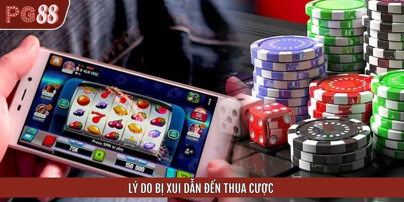 Lý do bị xui khi cá độ